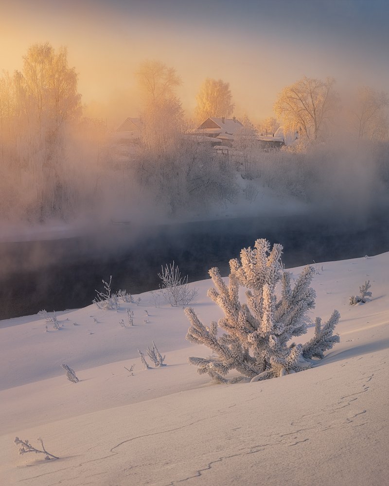 туман, рассвет, зима, холод, Дмитрий Медянцев