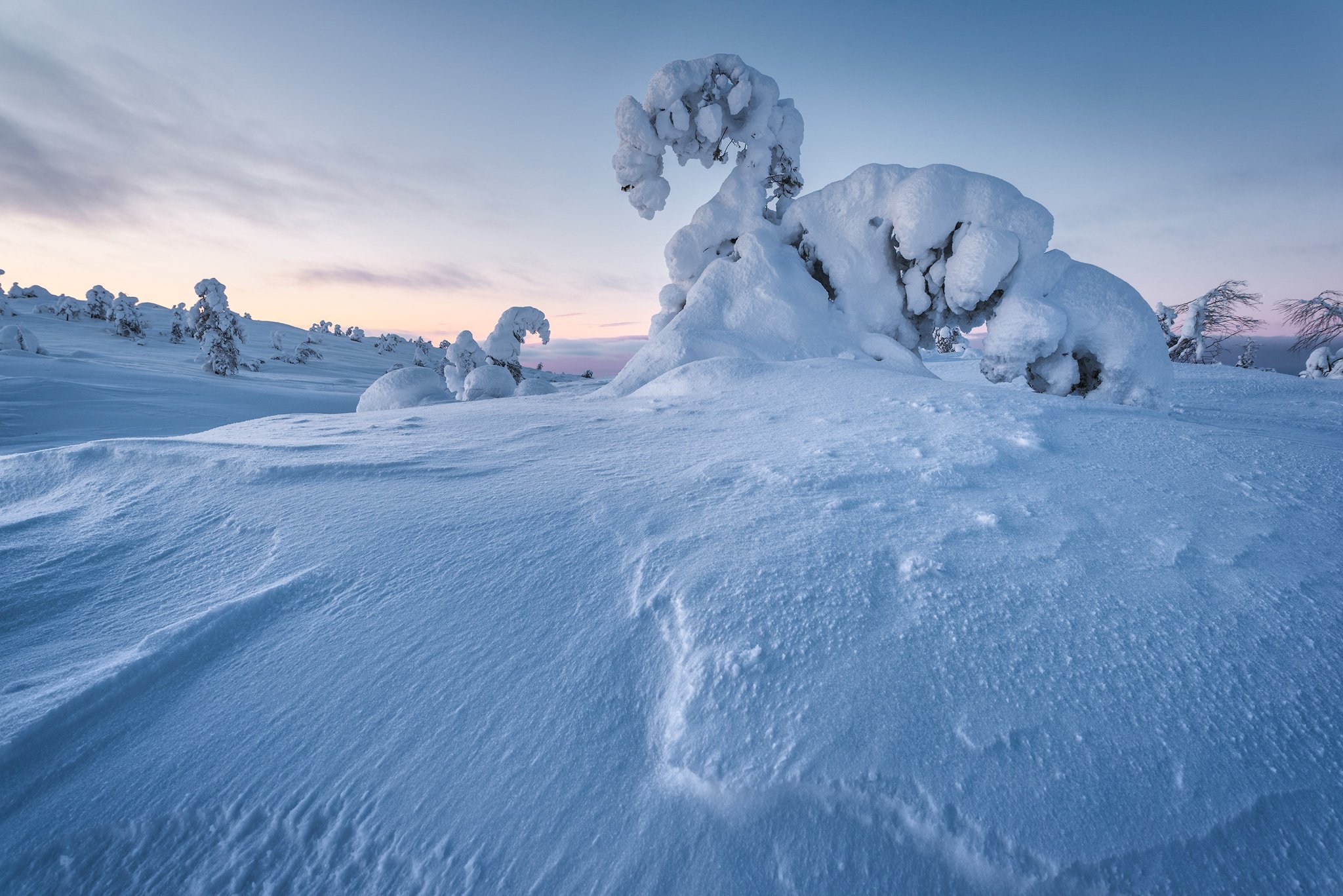 кандалакша, скульптуры, снег, зимний пейзаж, Андрей Баскевич