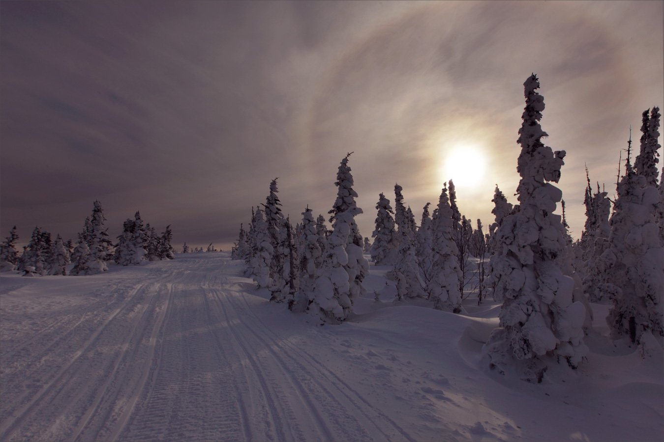 #зимний пейзаж #гало #космический рассвет, Александр Гусаков