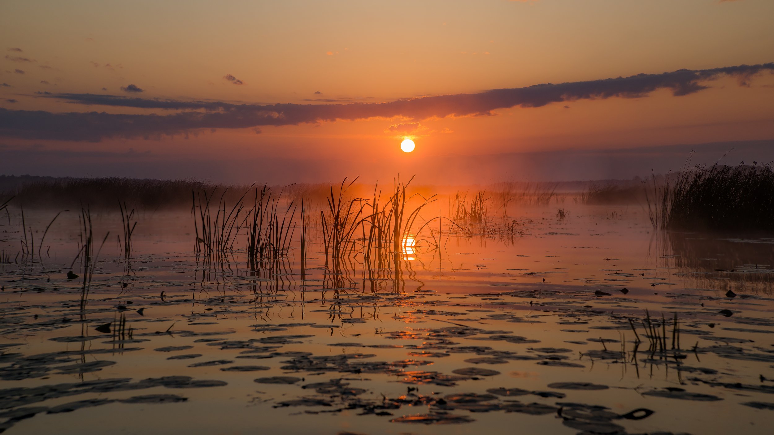 пейзаж, закат, лето, озеро, вода, отражение, небо, облака, красота, природа, Ekaterina Khlebnikova