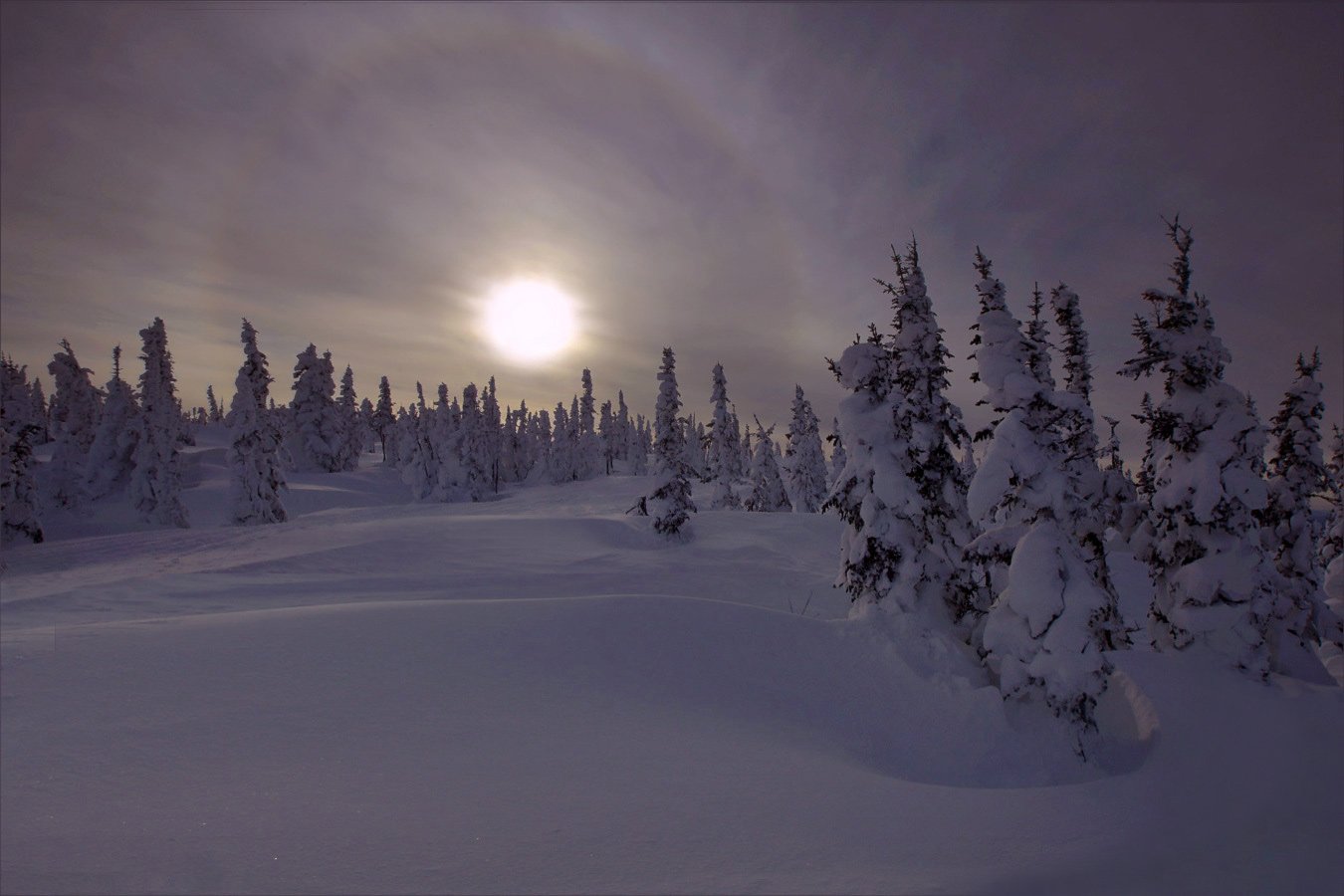 мистический рассвет пейзаж зима сибирь красивые места, Александр Гусаков