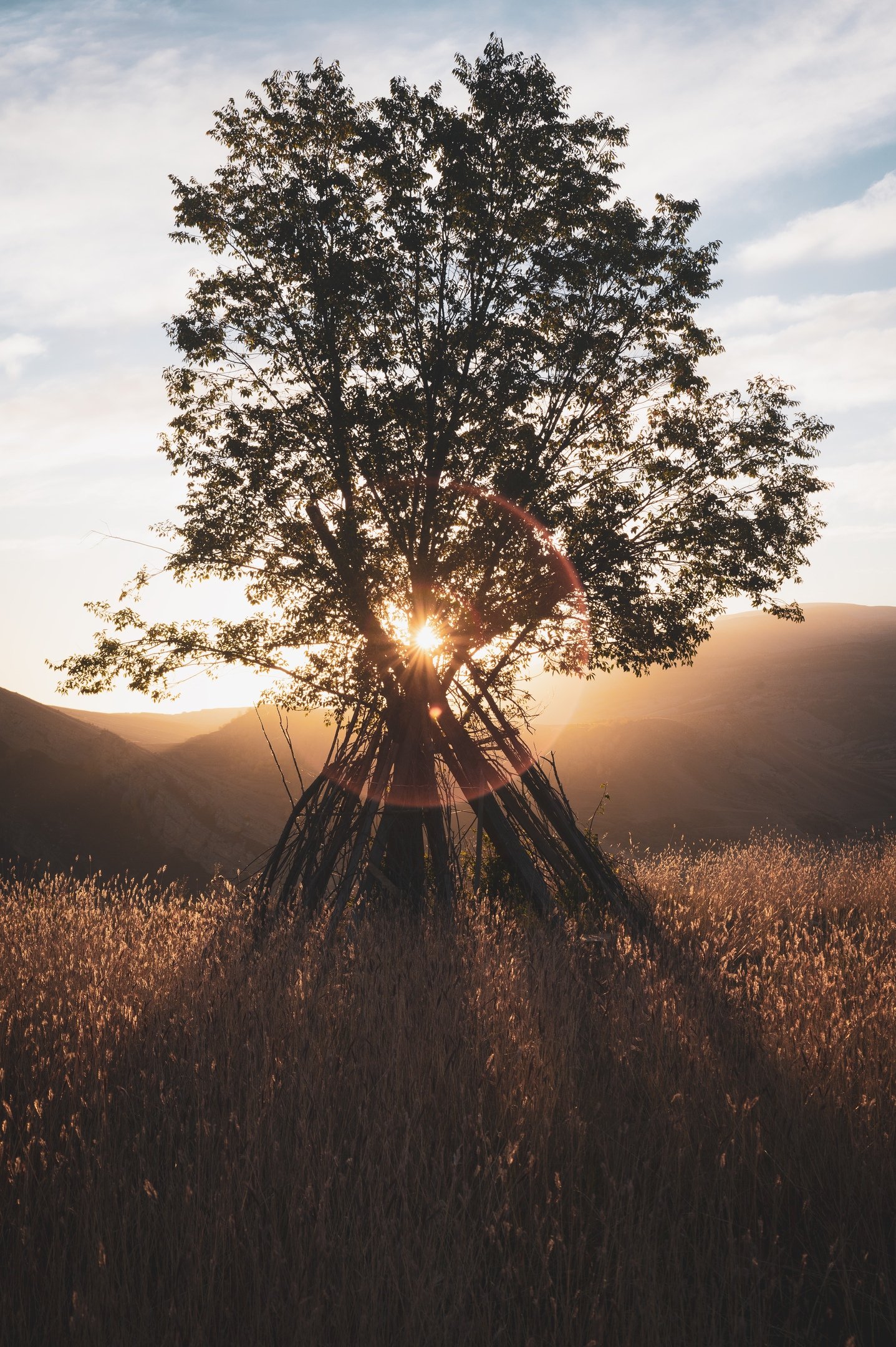 dawn sunset mountains dagestan nature tree, Егор Бугримов