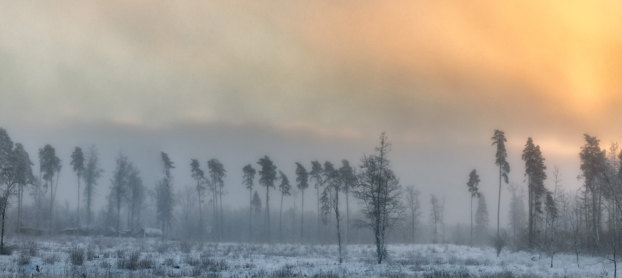зима, снег, лес, рассвет, Сергей Пестерев