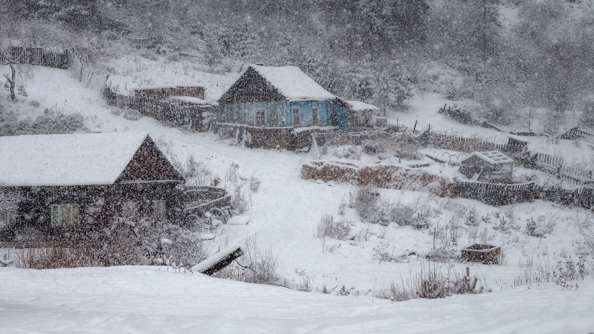 красноярск, кордон, зима, снегопад, Марина Фомина