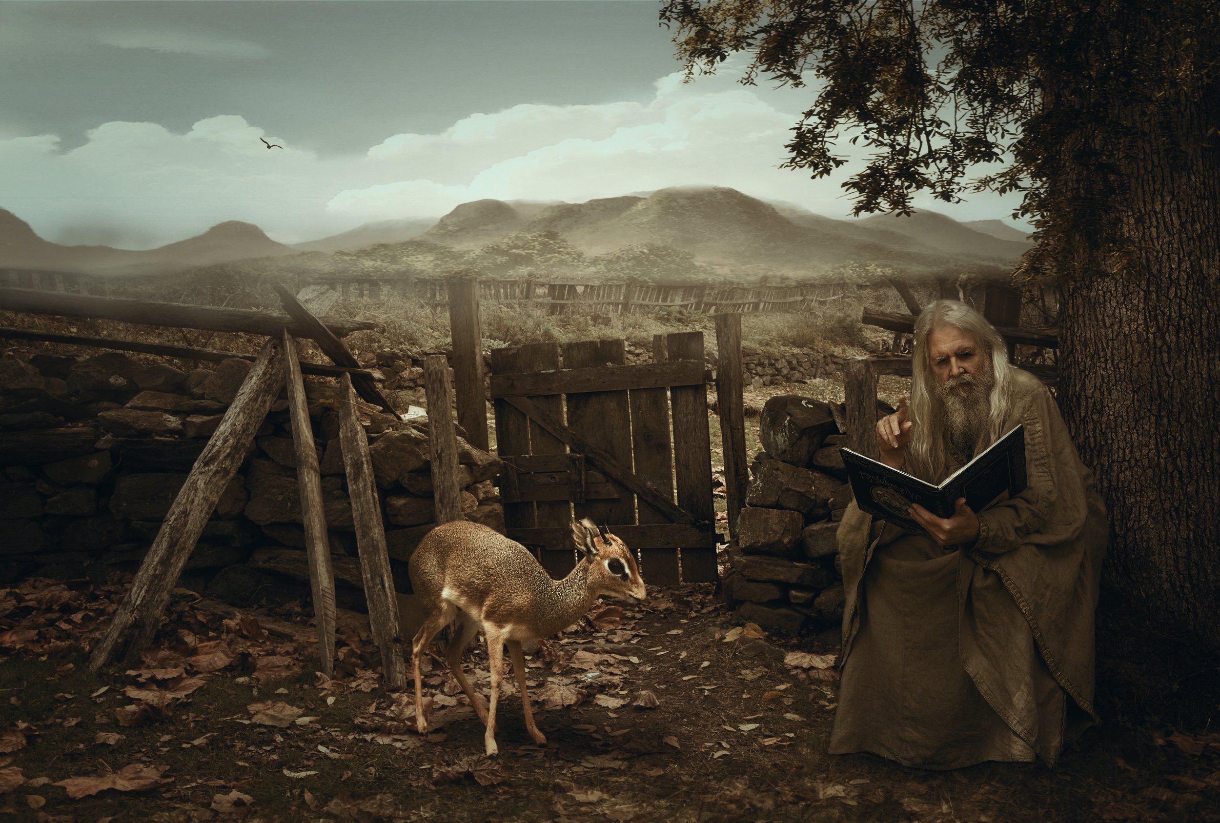 старик, книга, олененок, Sergii Vidov