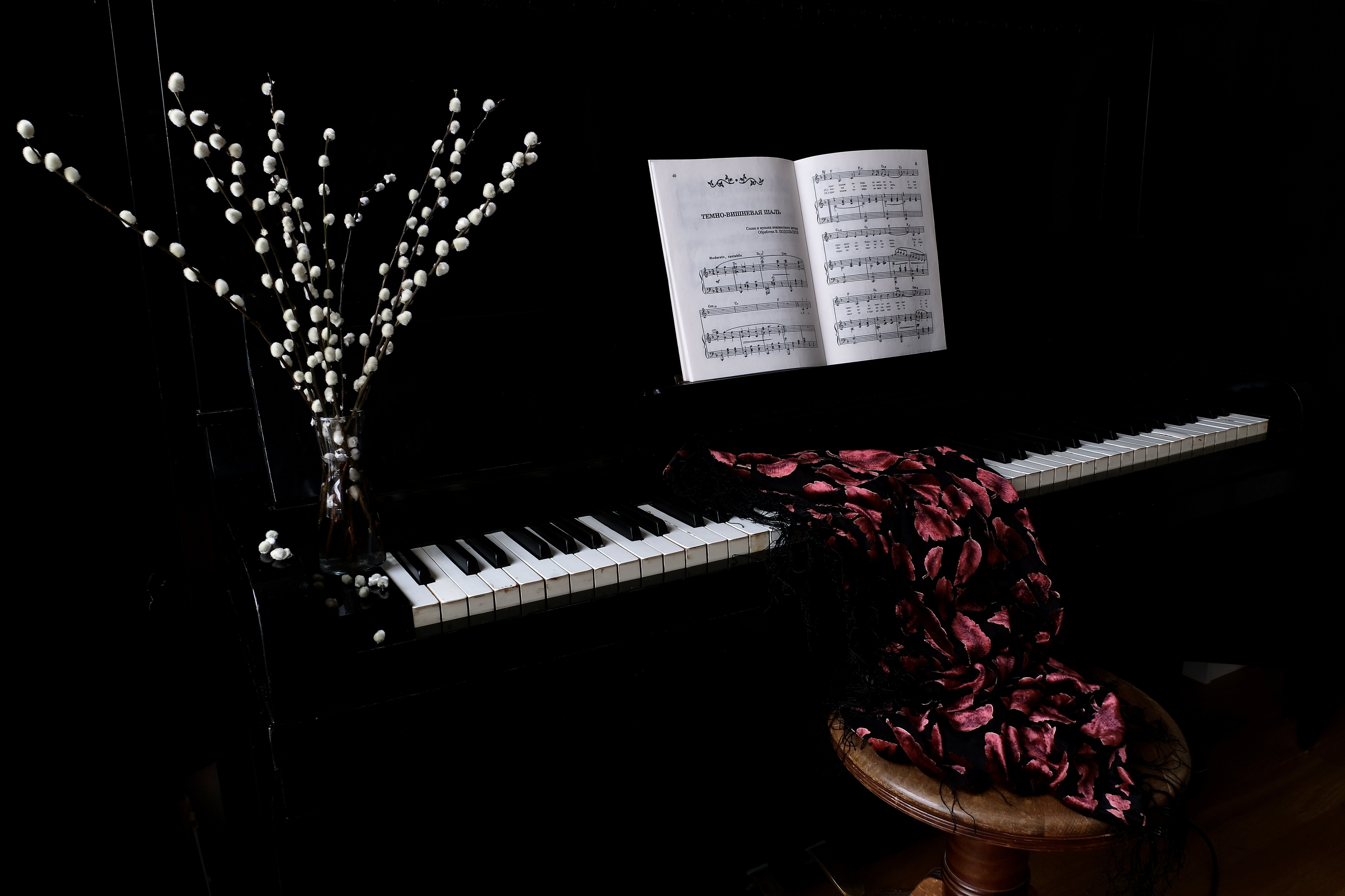 Still life, floral, pussy willow, Spring, flora, plant, great sallow, piano, notes, shawl, cherry dark, romance, song, chair,, Svetlana Povarova Ree