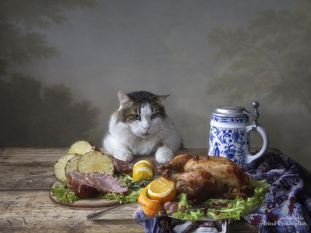 постановочная фотография, кот Лёва, еда, домашние животные, Ирина Приходько