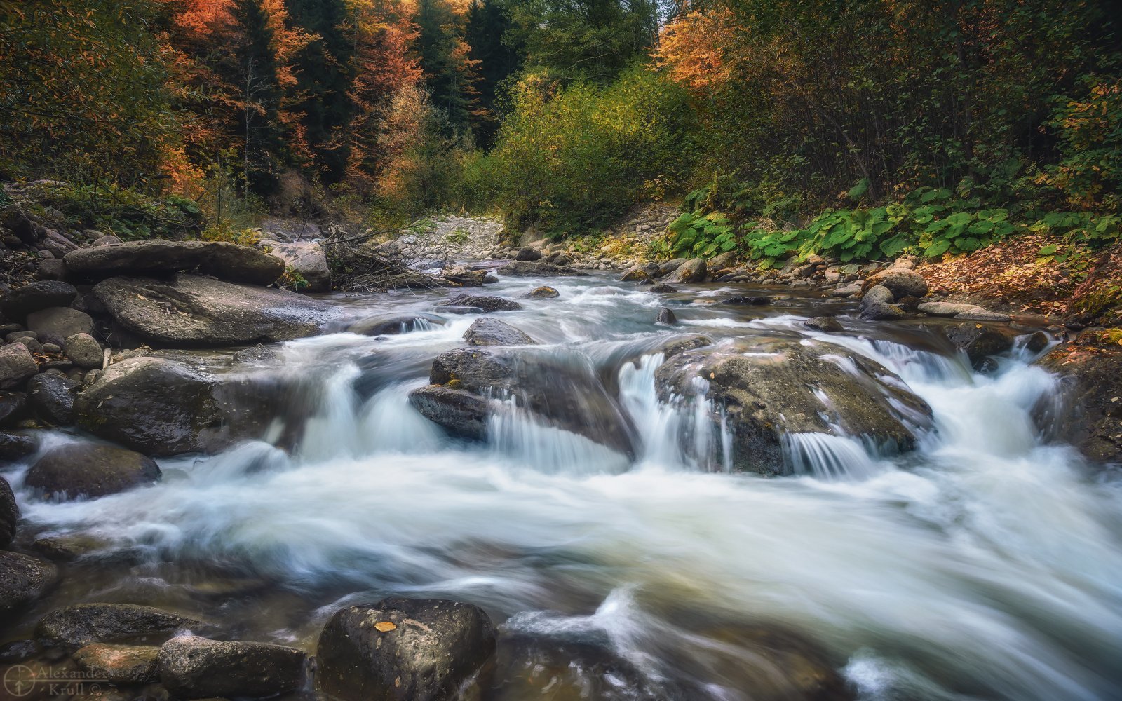 , Александр Круль