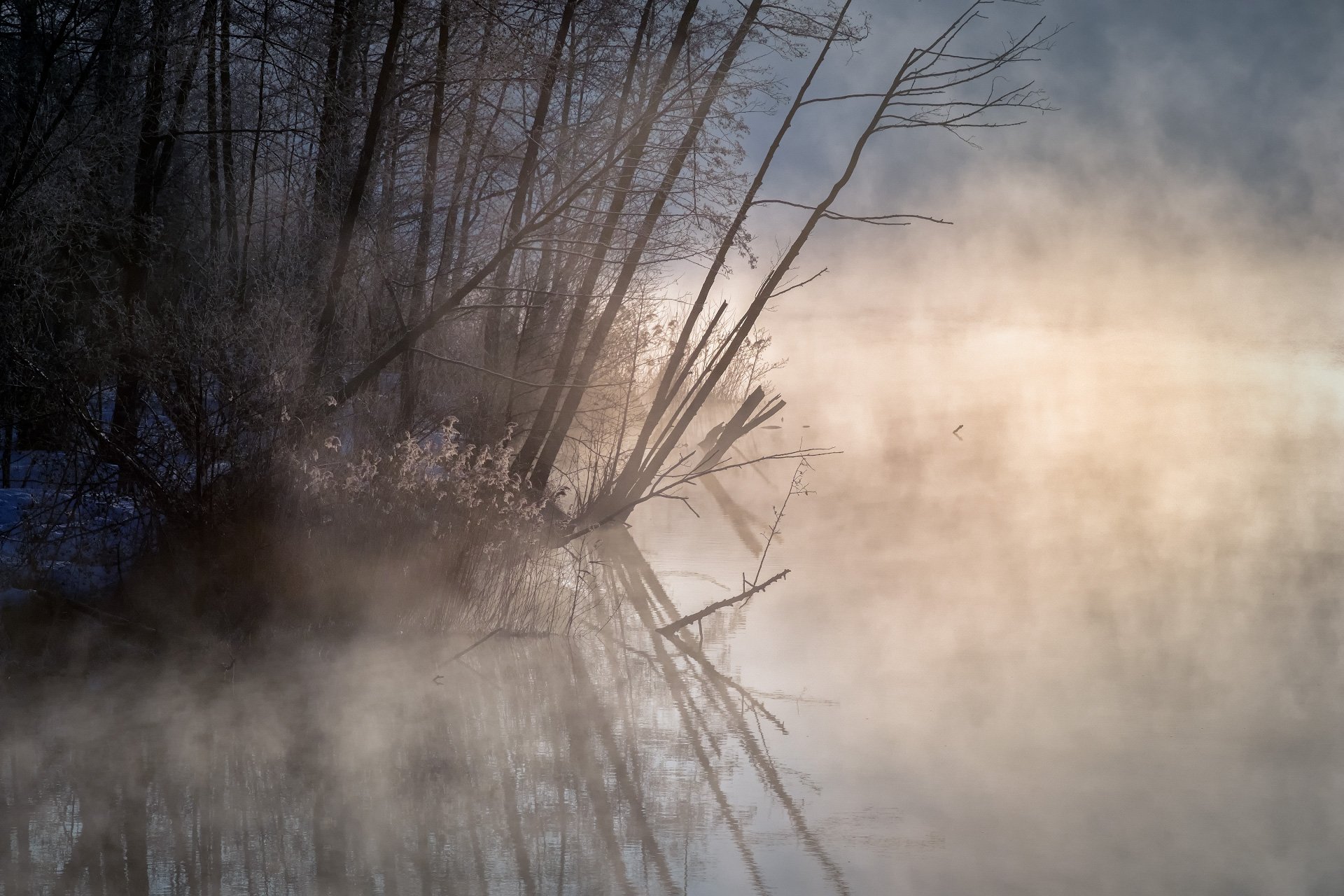 шатура, утро, деревья, пар, туман, рассвет, вода, мороз, холод, Андрей Чиж