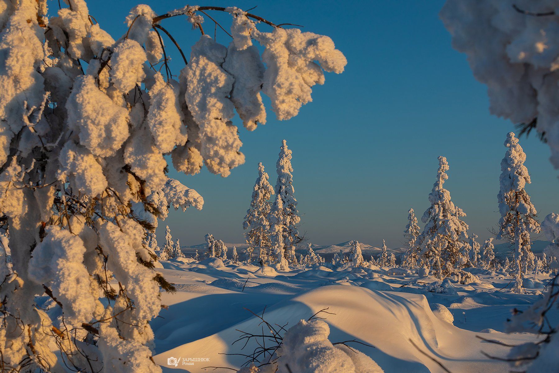 Якутия, Сибирь, Дальний восток, зима, снег, деревья, сказка, иней, мороз, Зарышнюк Роман