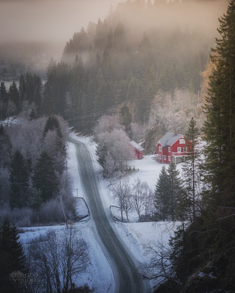 forest,woods,woodland,boreal,norway,norwegian,scandinavia,scandinavian,misty,foggy,fog,morning,dark,moody,, Adrian Szatewicz