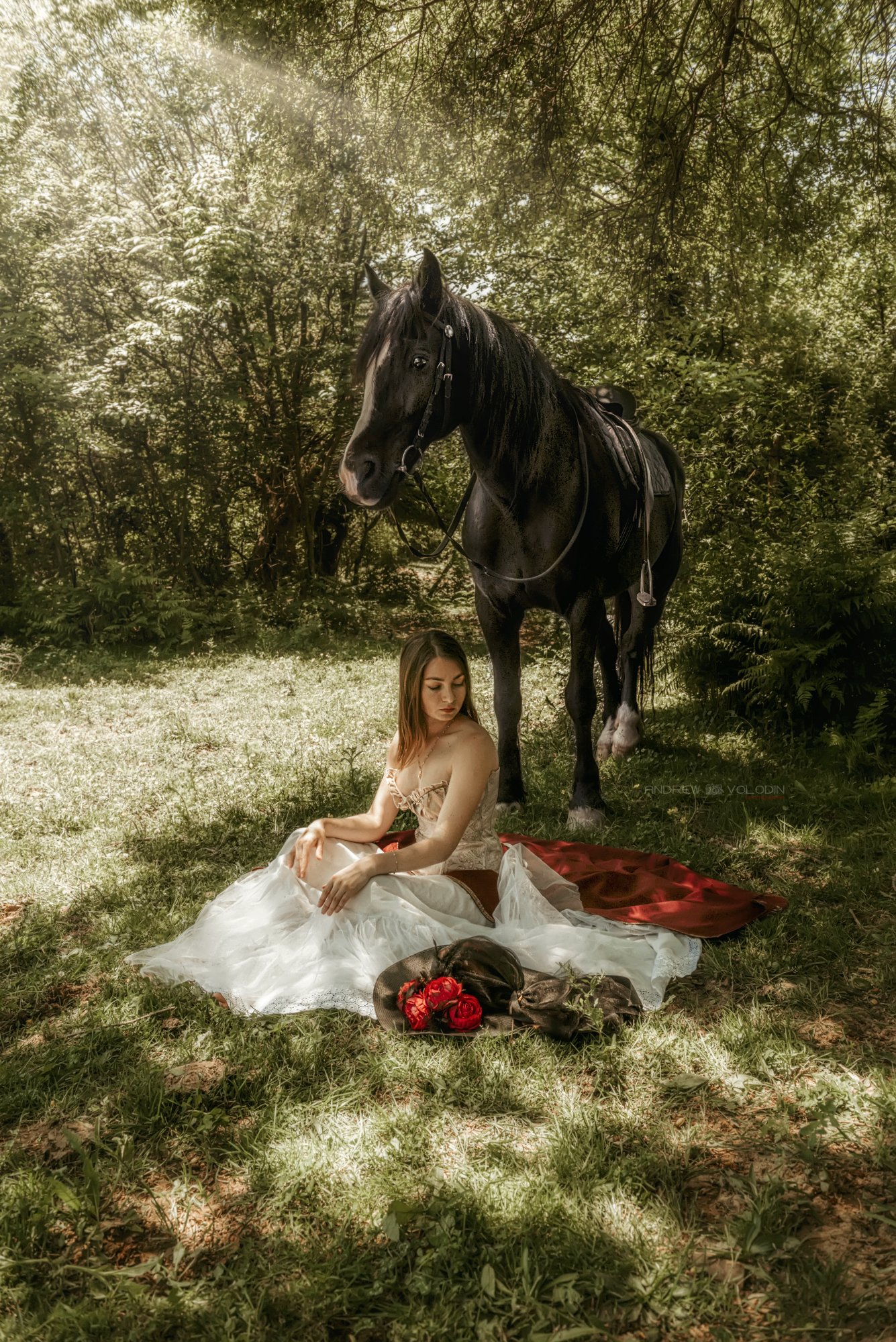 девушка конь отдых природа дерево прованс, Андрей Володин