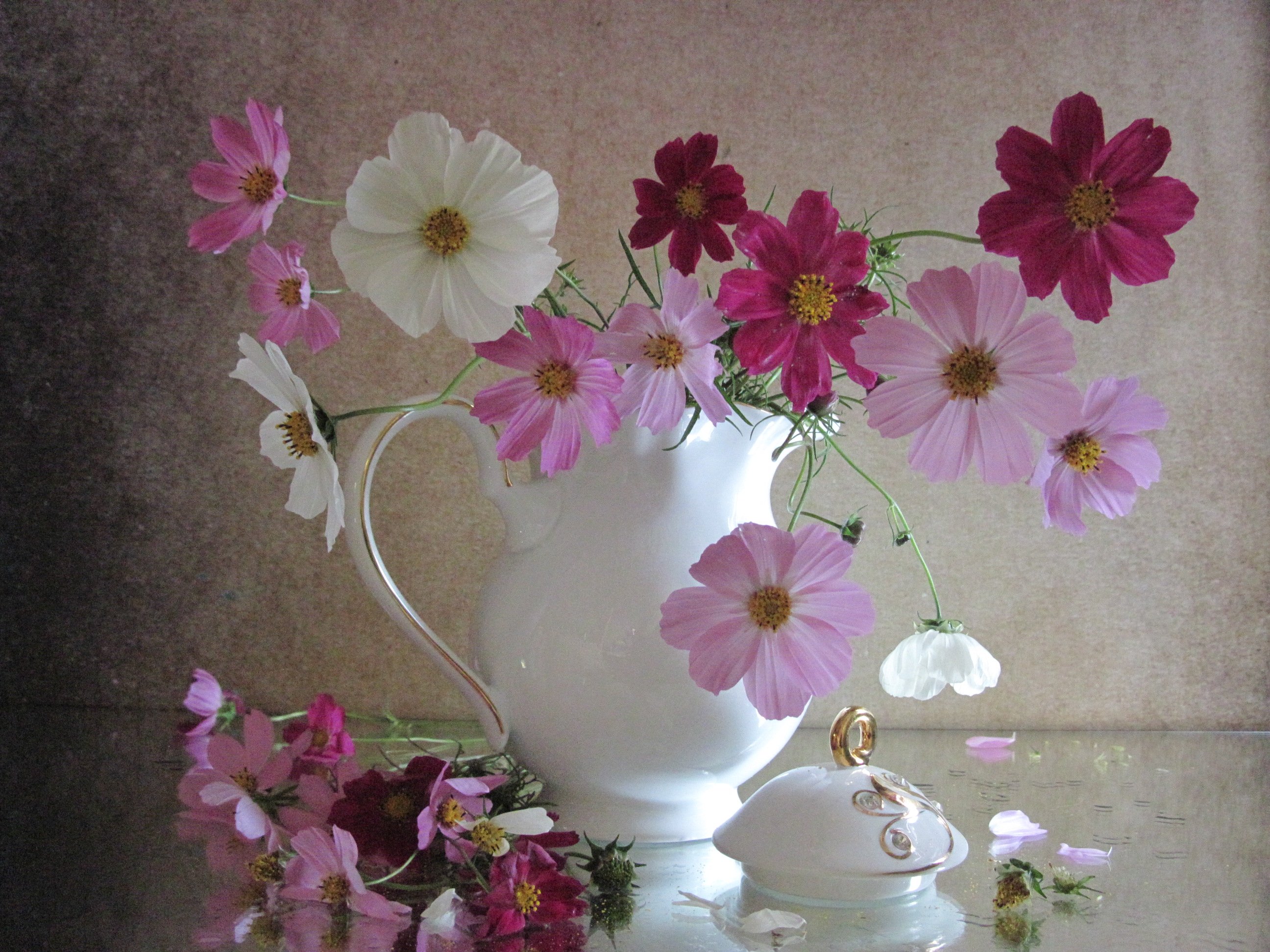 цветы, букет, космея, ваза, фарфор, Наталия Тихомирова