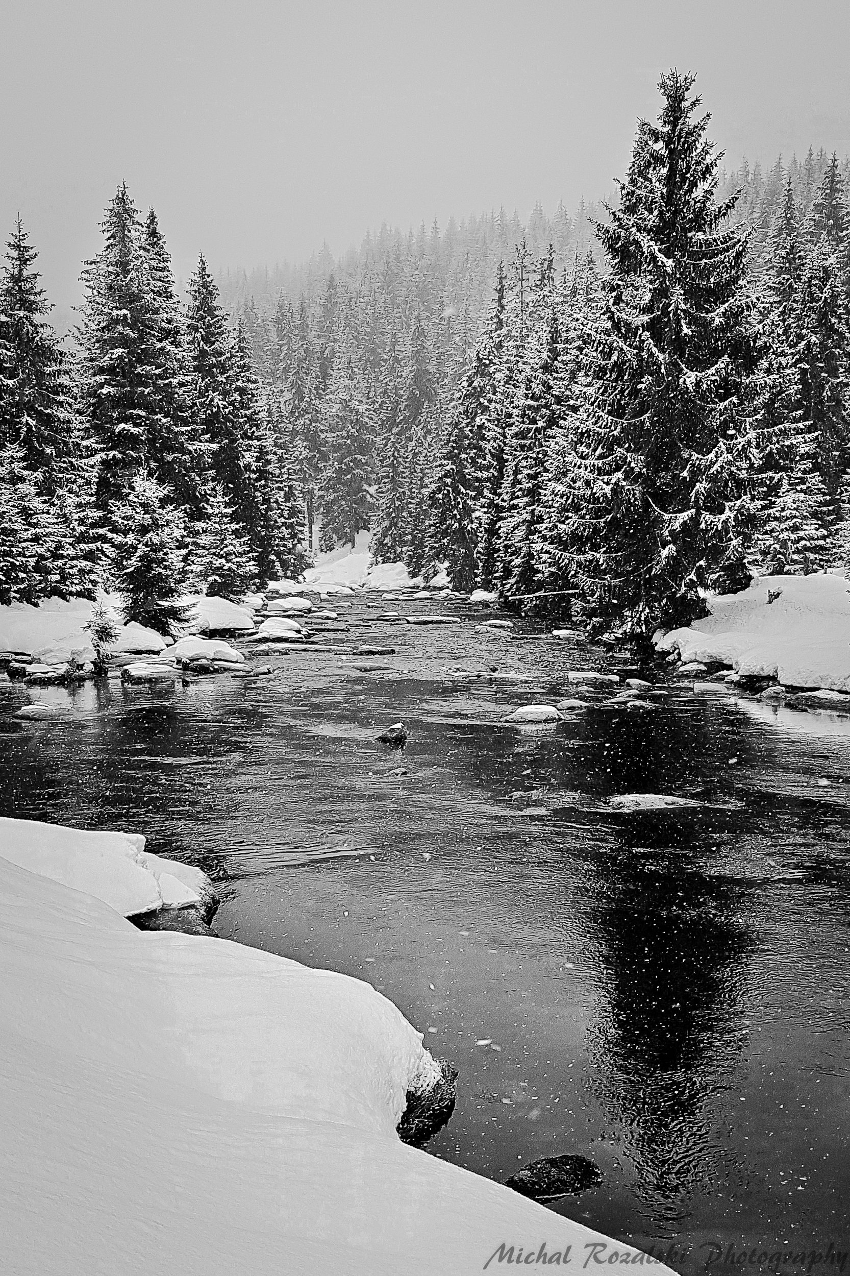 winter, ,season, ,blackandwhite, ,snow, ,landscape, ,trees, ,stream, ,photography, Michal Rozalski