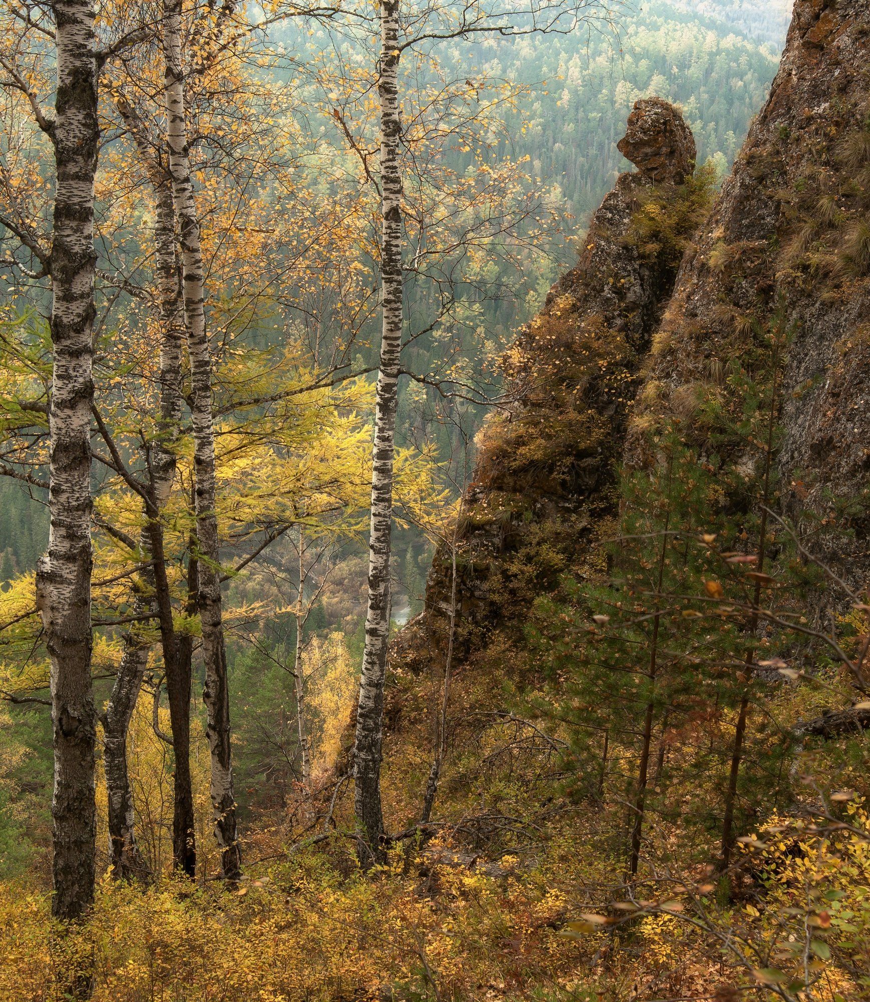 осень, торгашинский хребет, иглы., Марина Фомина