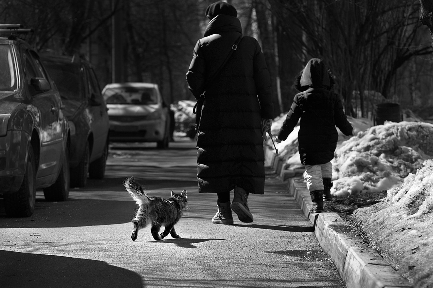 чб фото, уличная фотография, люди, кошки, Vera Trandina
