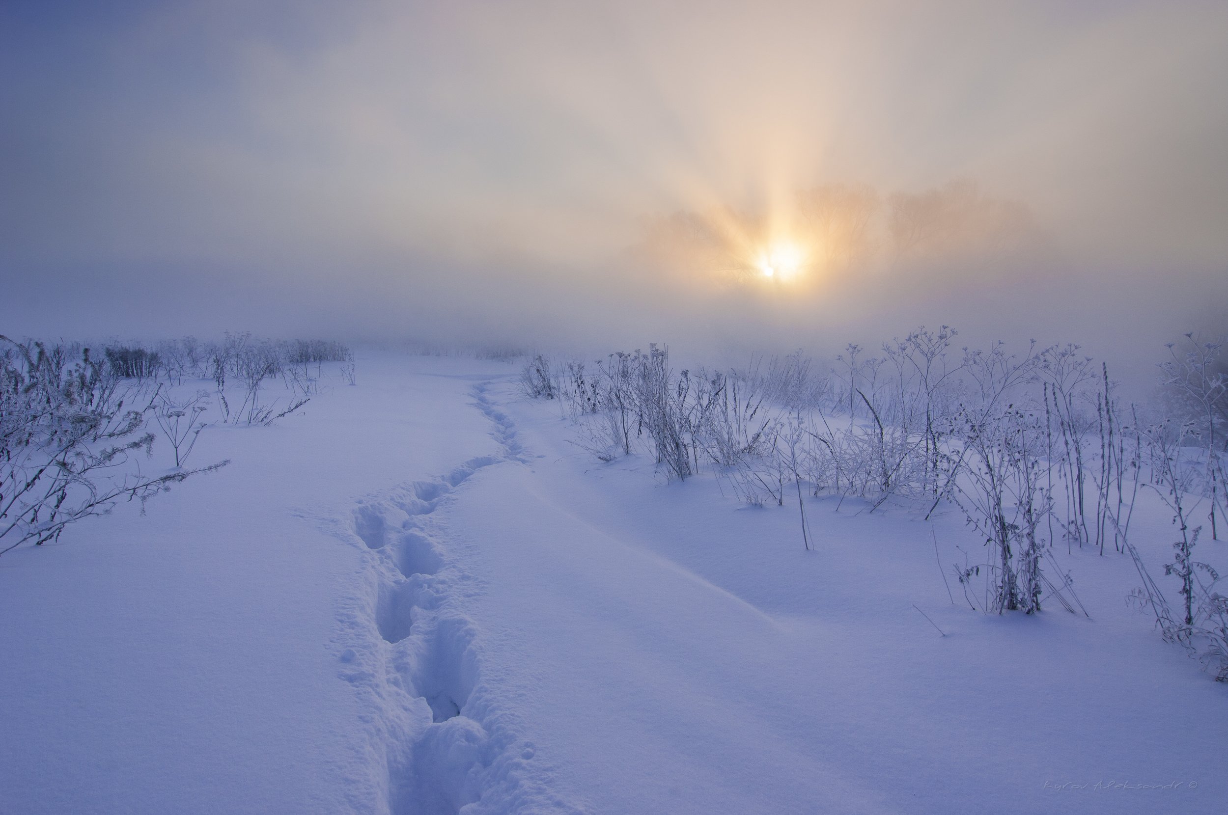 туман, московская область, утро, природа, пейзаж, зима, мороз, солнце, Александр Кыров