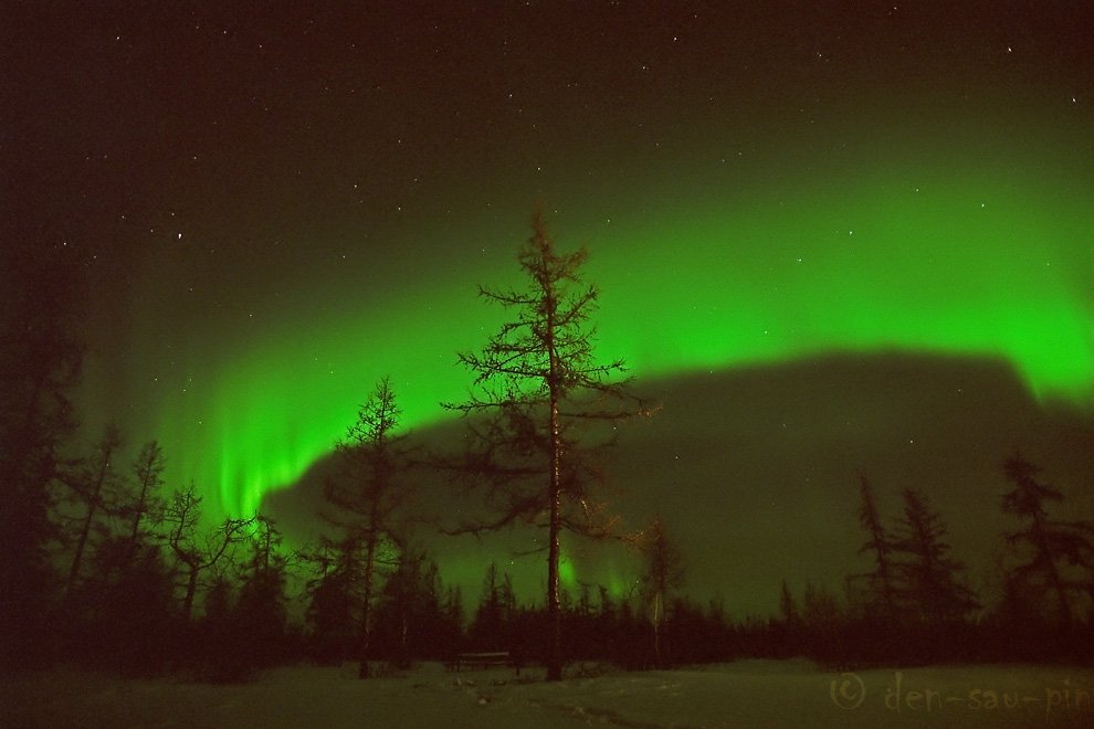 aurora borealis, северное сияние, природа,, Danil Husainov