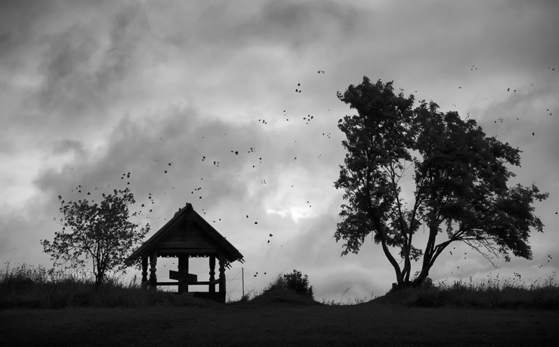 кижи,ветер,пугачев,небо,листья, Евгений Пугачев.