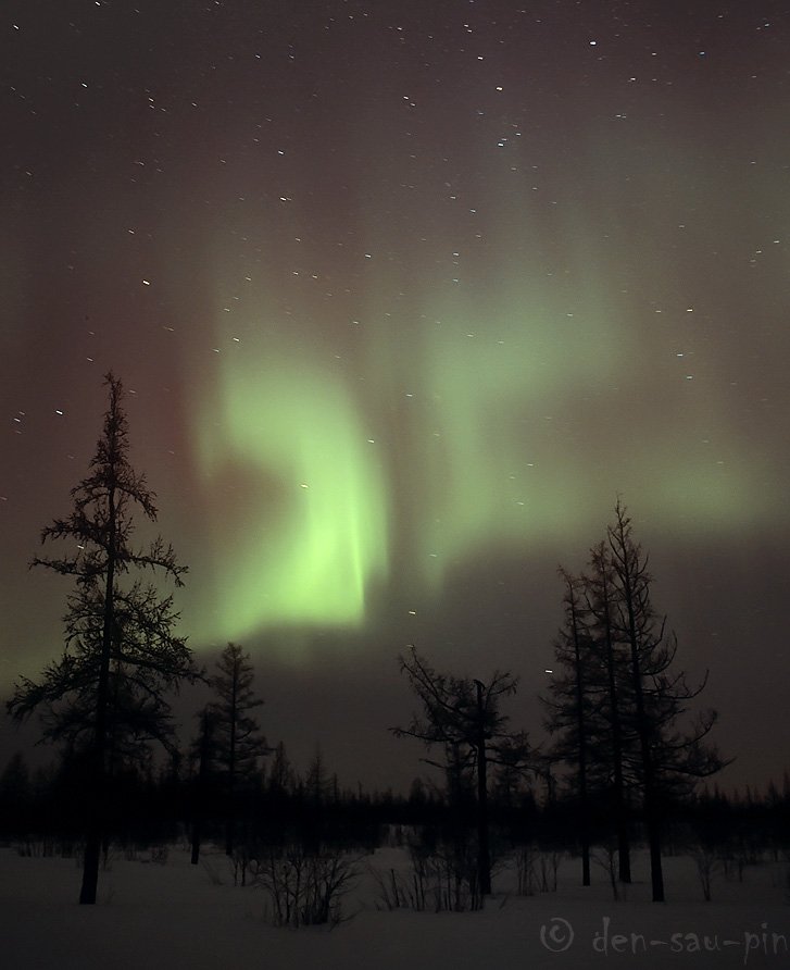 aurora borealis, серное сияние, природа, Danil Husainov