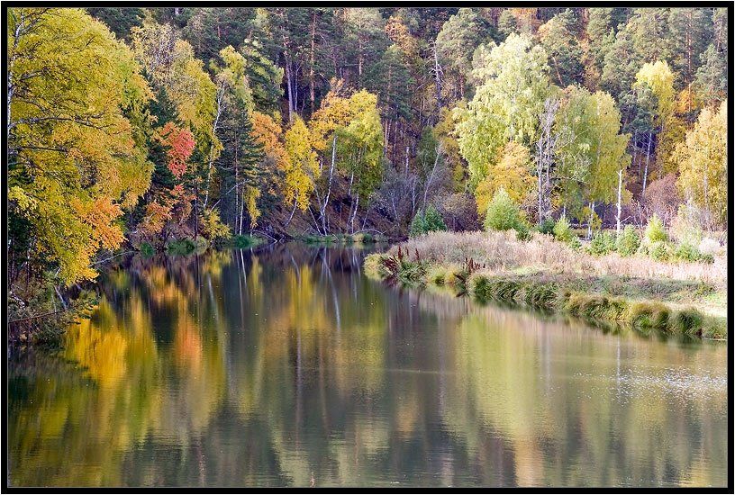 осень,отражение,жёлтый, Качурин Алексей