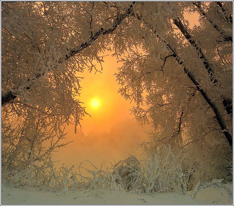 зима, рассвет, иней, снег, свет, Григорий Иващенко