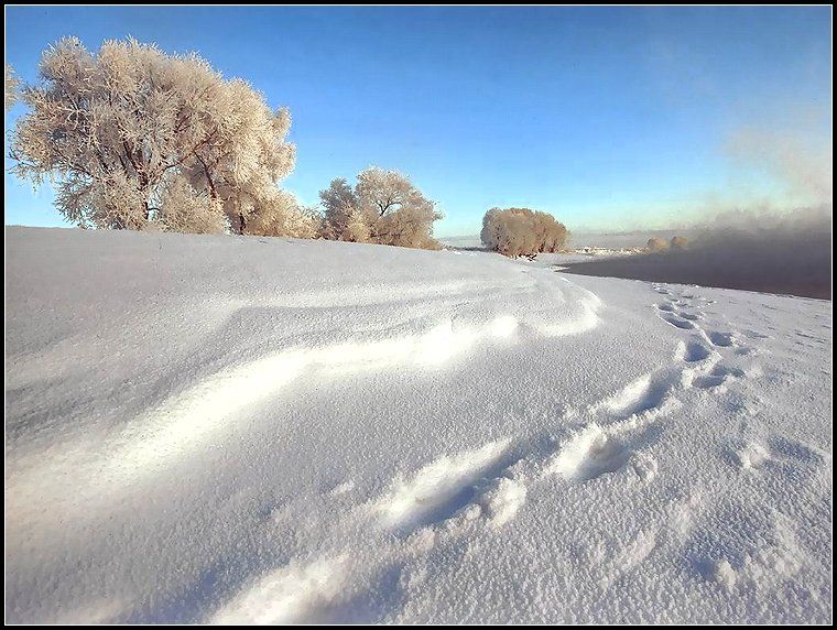 зима, рассвет, иней, снег, свет, река, Григорий Иващенко