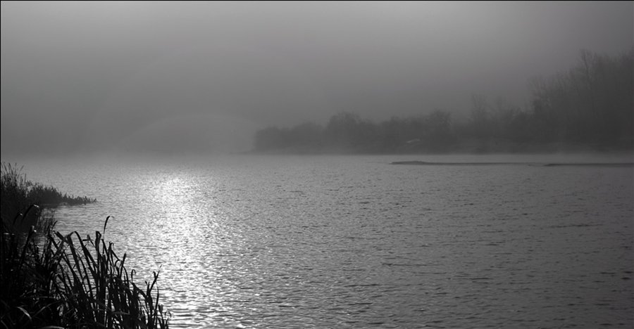 утро,река, туман, волны, Мирошниченко Сергей
