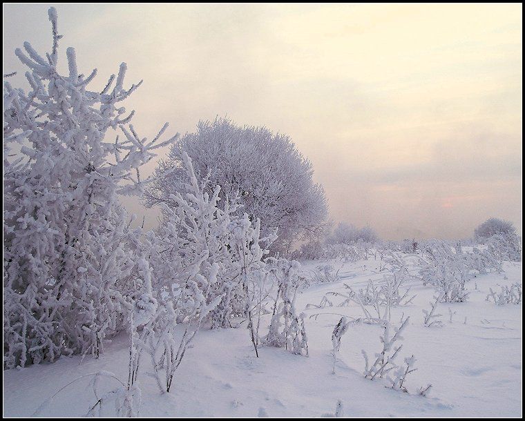 зима,  рассвет, снег, иней, Григорий Иващенко