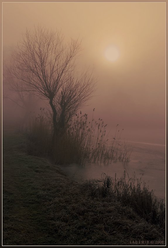 пейзаж, туман, утро, lad_i_mir, lad_i_mir