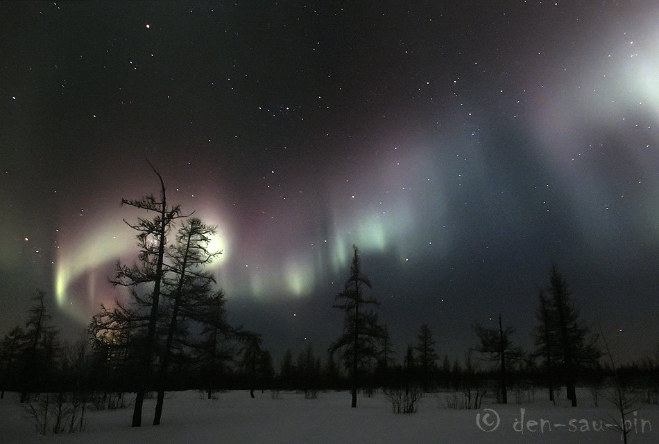 aurora borealis,северное сияние, природа, ночной пезаж, север, Danil Husainov