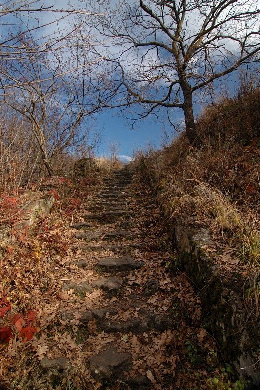 кисловодск, курортный парк, теренкур, заброшенные уголки, лестница, поздняя осень, Kaiser Sozo