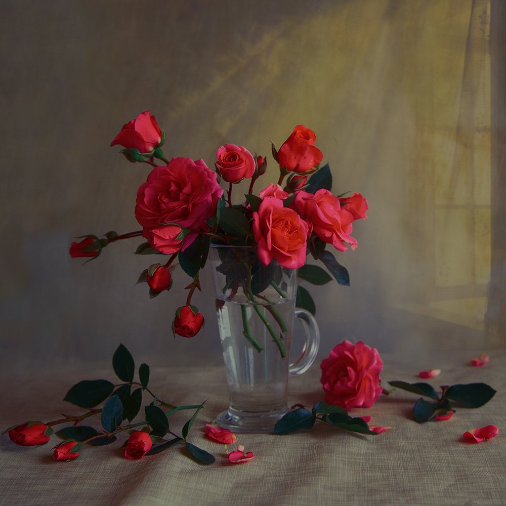 розы, Татьяна Назмутдинова