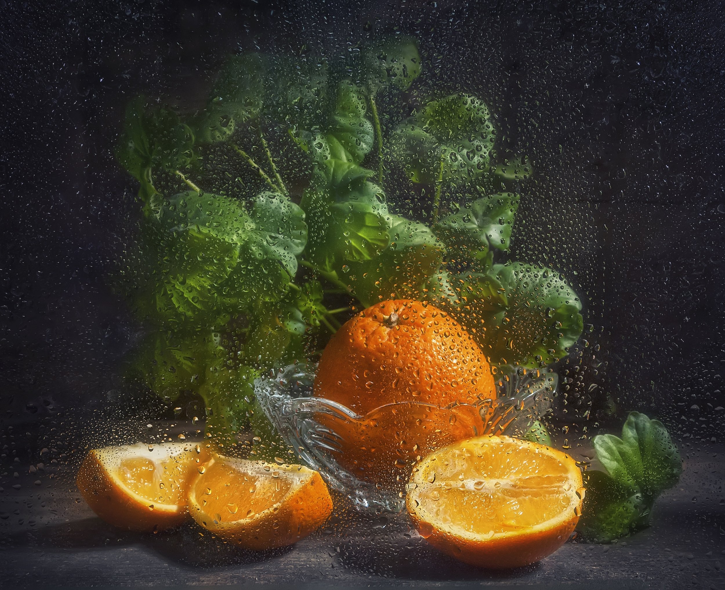 апельсин,витамин,оранжевый,сочный,растение,фрукт,листья герани,капли на стекле,тёмный, Владимир Володин