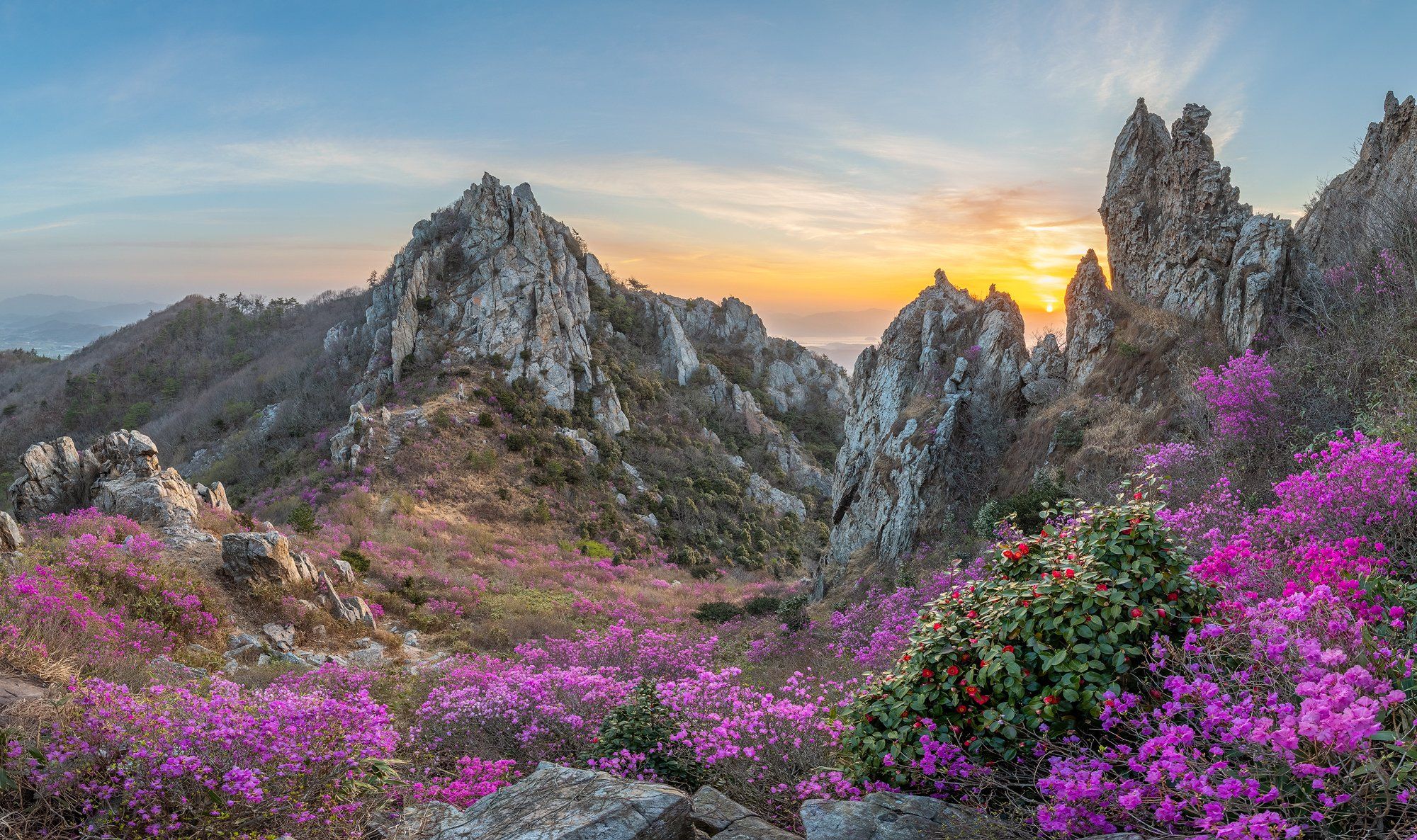mountains,peak,hiking,spring,blossom,deokryongsan,korea, Jaeyoun Ryu