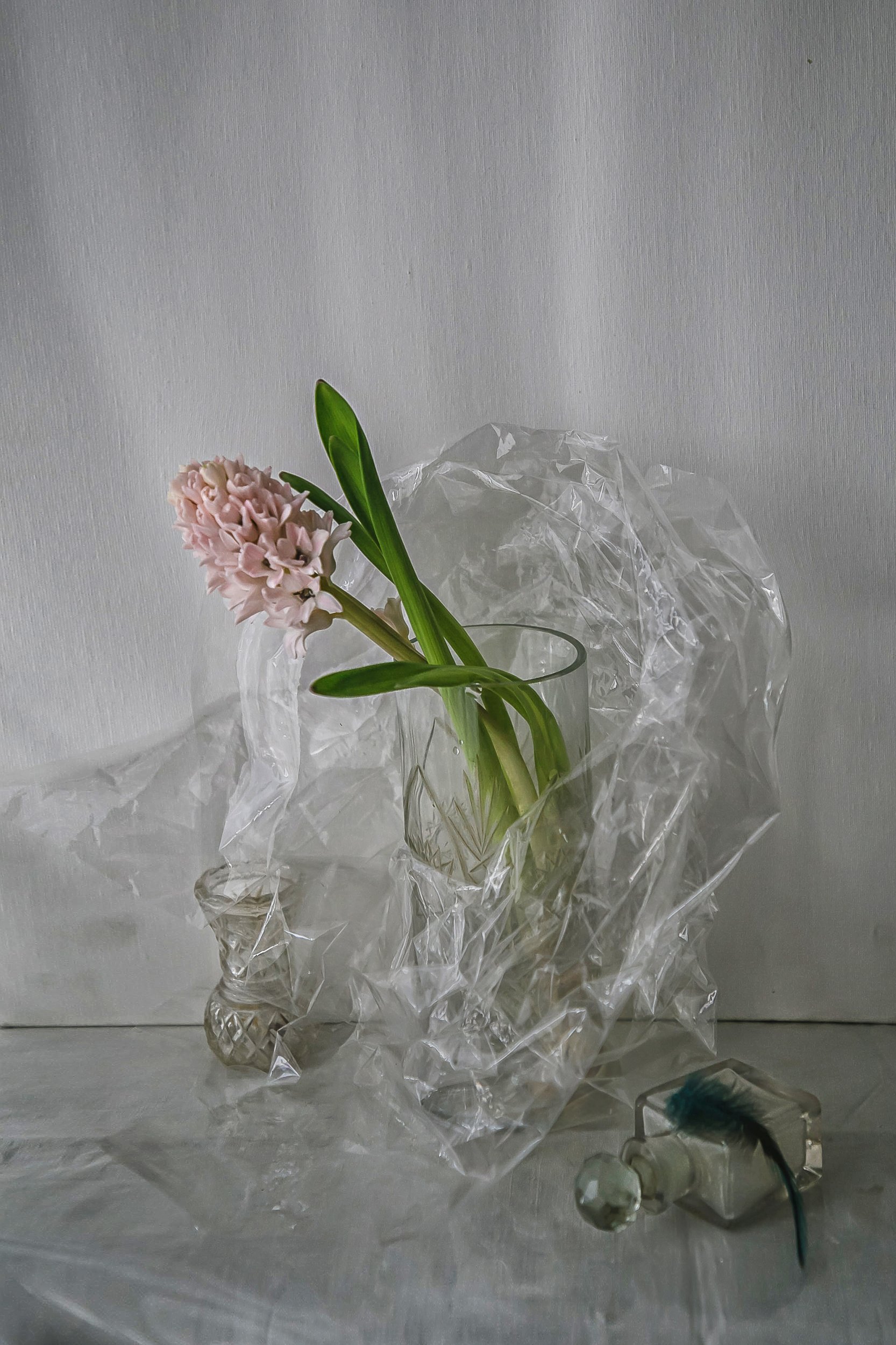 натюрморт, стекло, цветы, гиацинты, Анна Петина