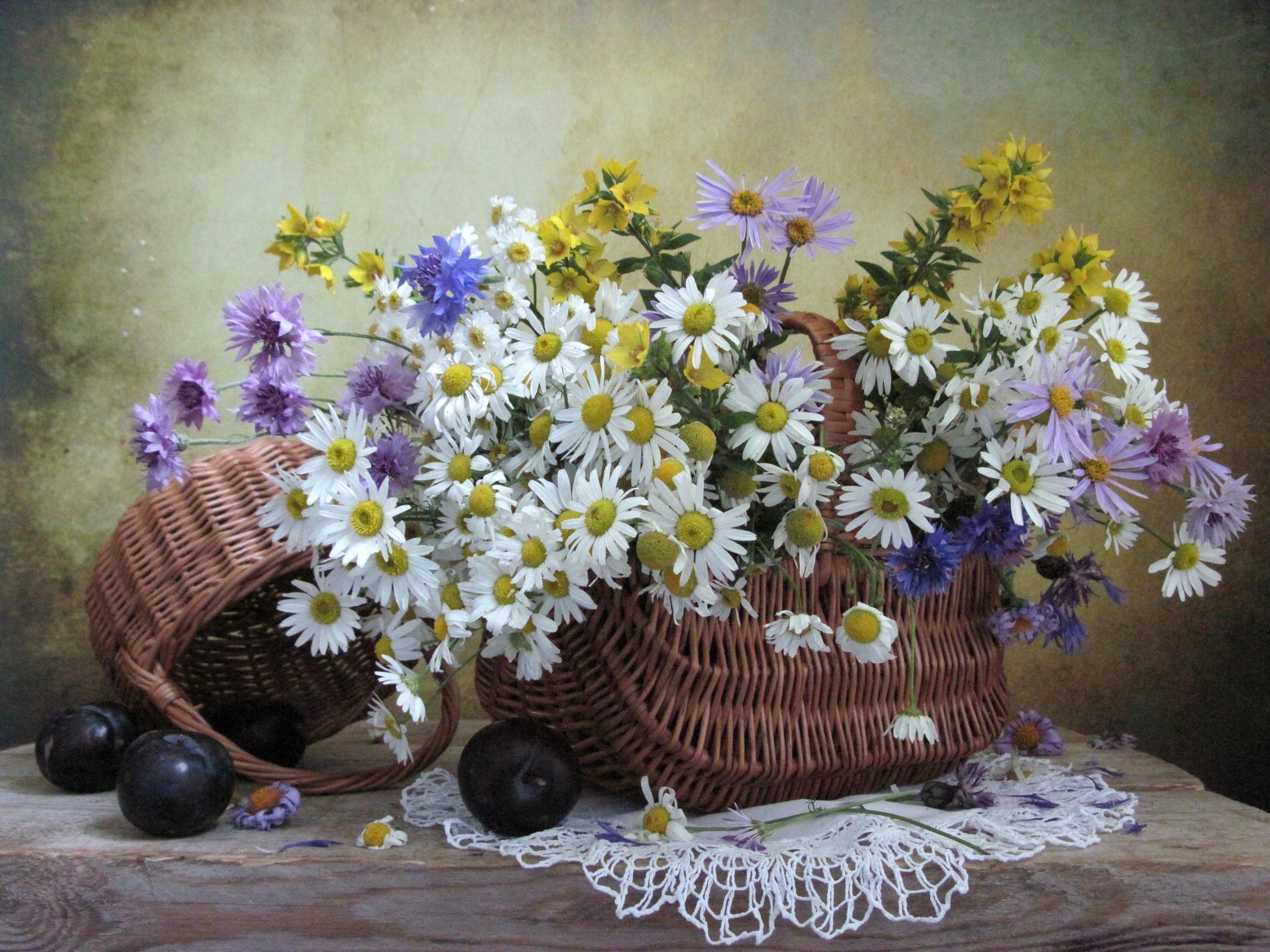 цветы, букет, ромашки, васильки, хризантемы, сливы, корзинки, салфетка, Наталия Тихомирова