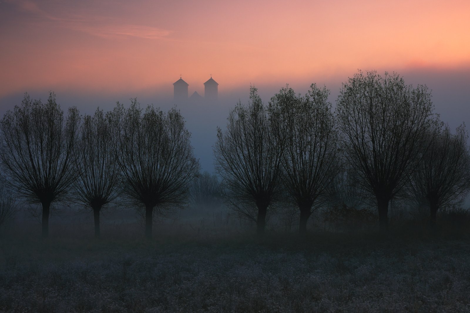 sunrise, mist, fog, morning, willow, tree, abbey, monastery, tyniec,, Jacek Lisiewicz
