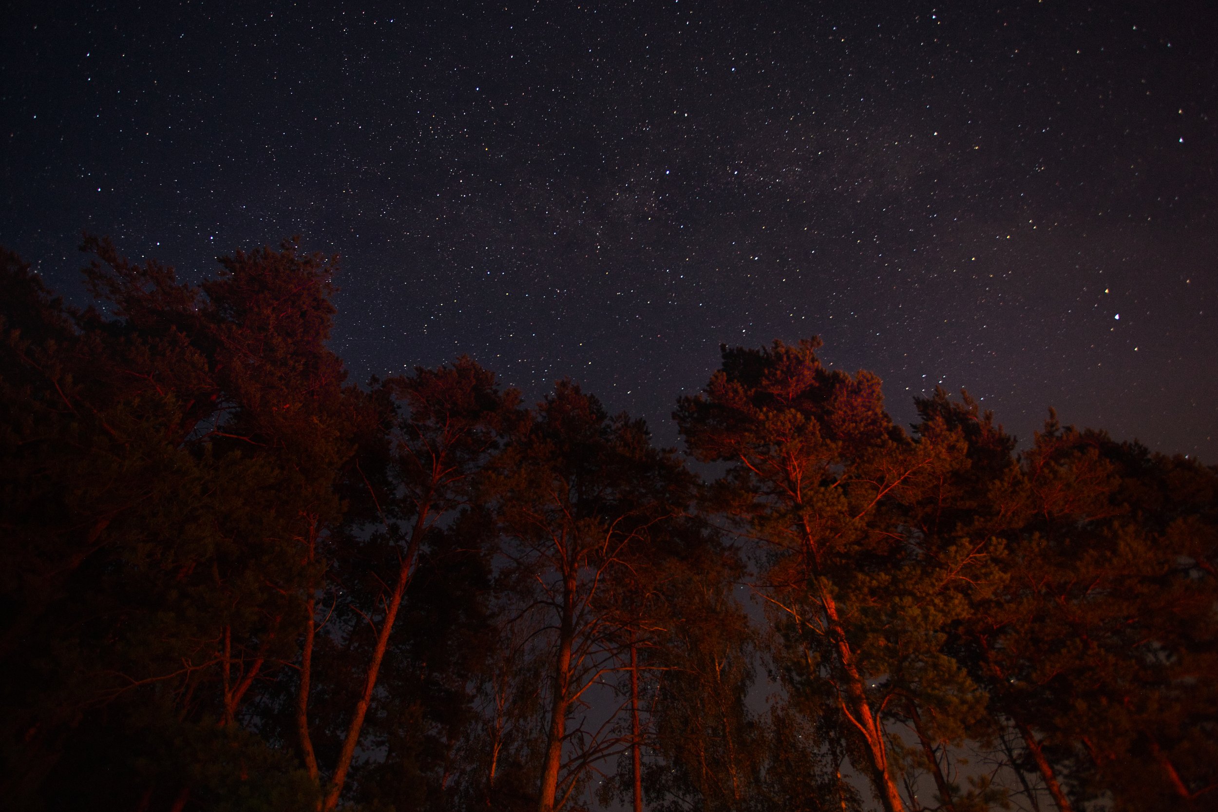 ночь, млечный путь , деревья , пейзаж , stars , Тимофей Бутов