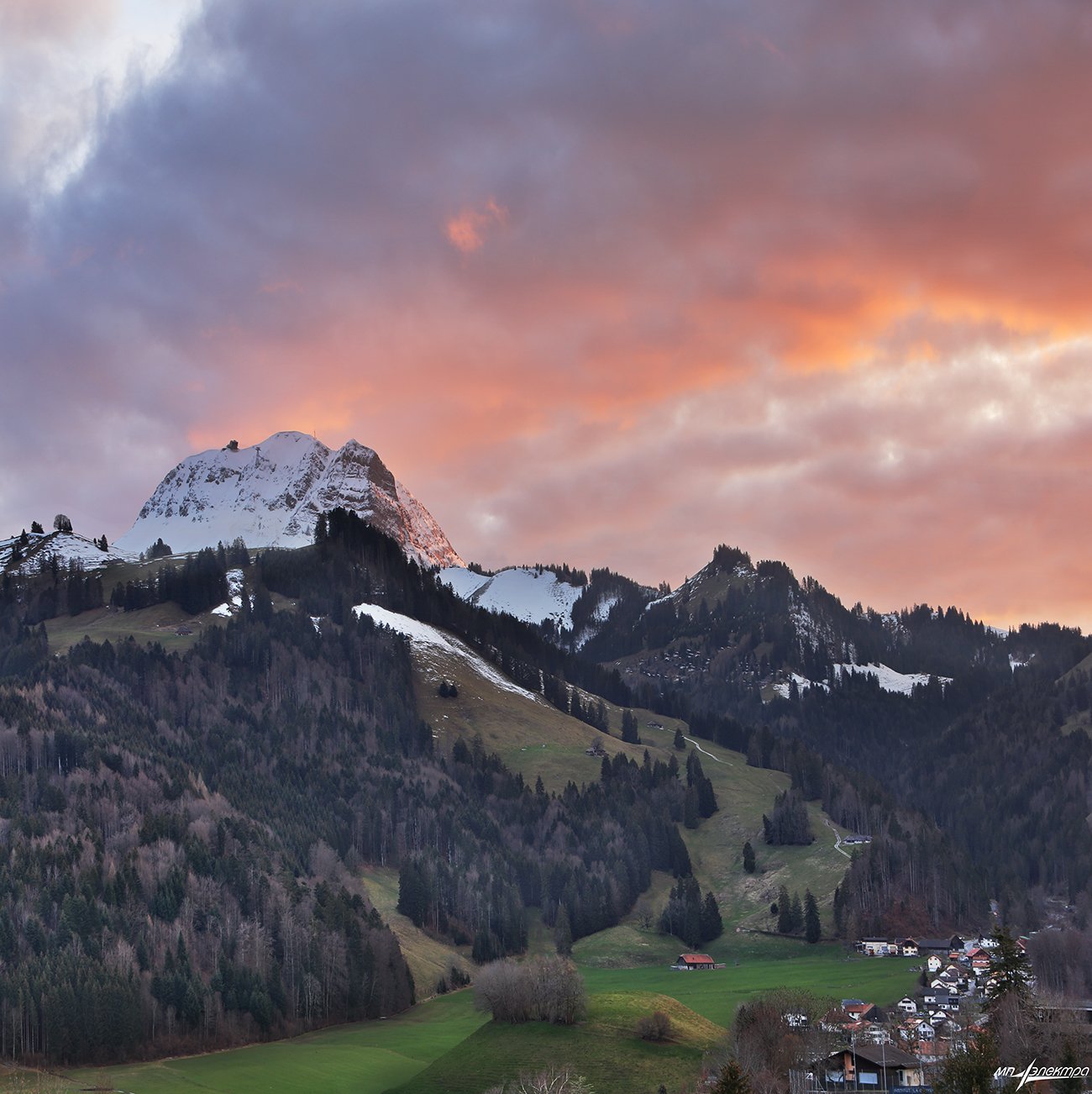 swiss, Матвеев Николай