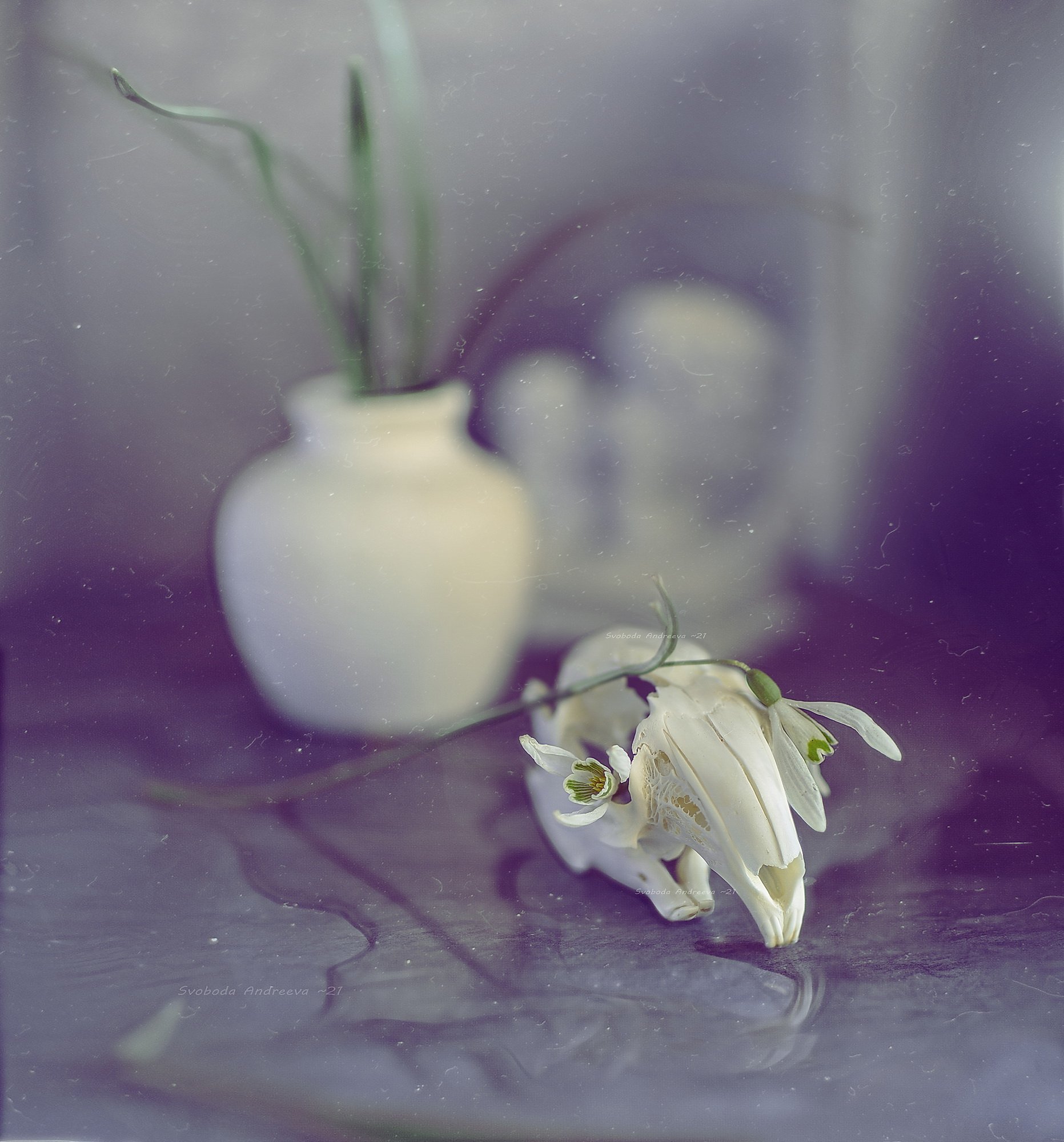 подснежник, череп, кролика, цветы, ваза, весна, белое, голубое, апрель, Svoboda Andreeva