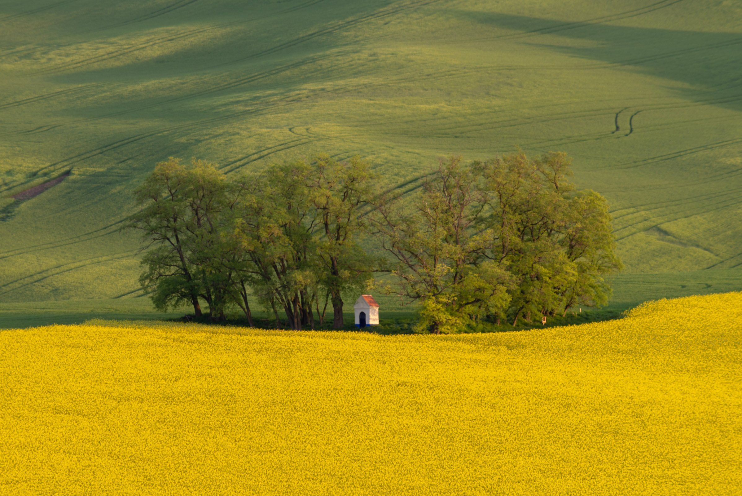 южная моравия, Исаков Дмитрий