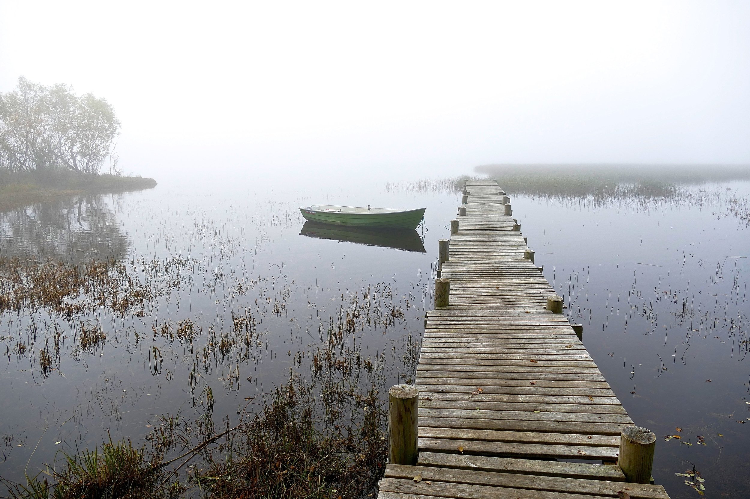 Landscapes, nature, Norway, fog, boat, lake, water, mist, trees, pier, reflection, mood, harmony, peace, , Svetlana Povarova Ree
