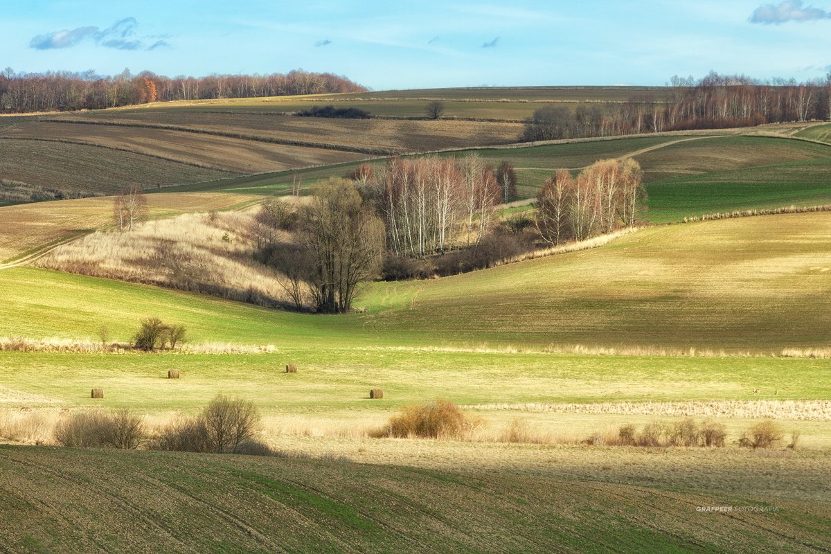 spring, landscape, felds, sunlight, shadows, rpowroznik, Robert Powroznik