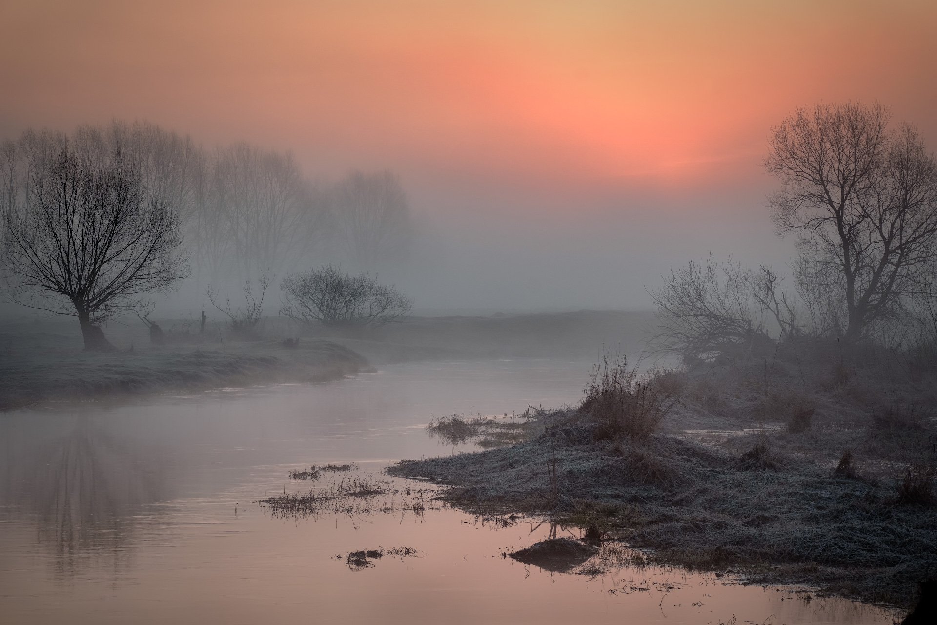 река, шерна, утро, туман, деревья, рассвет, вода,, Андрей Чиж