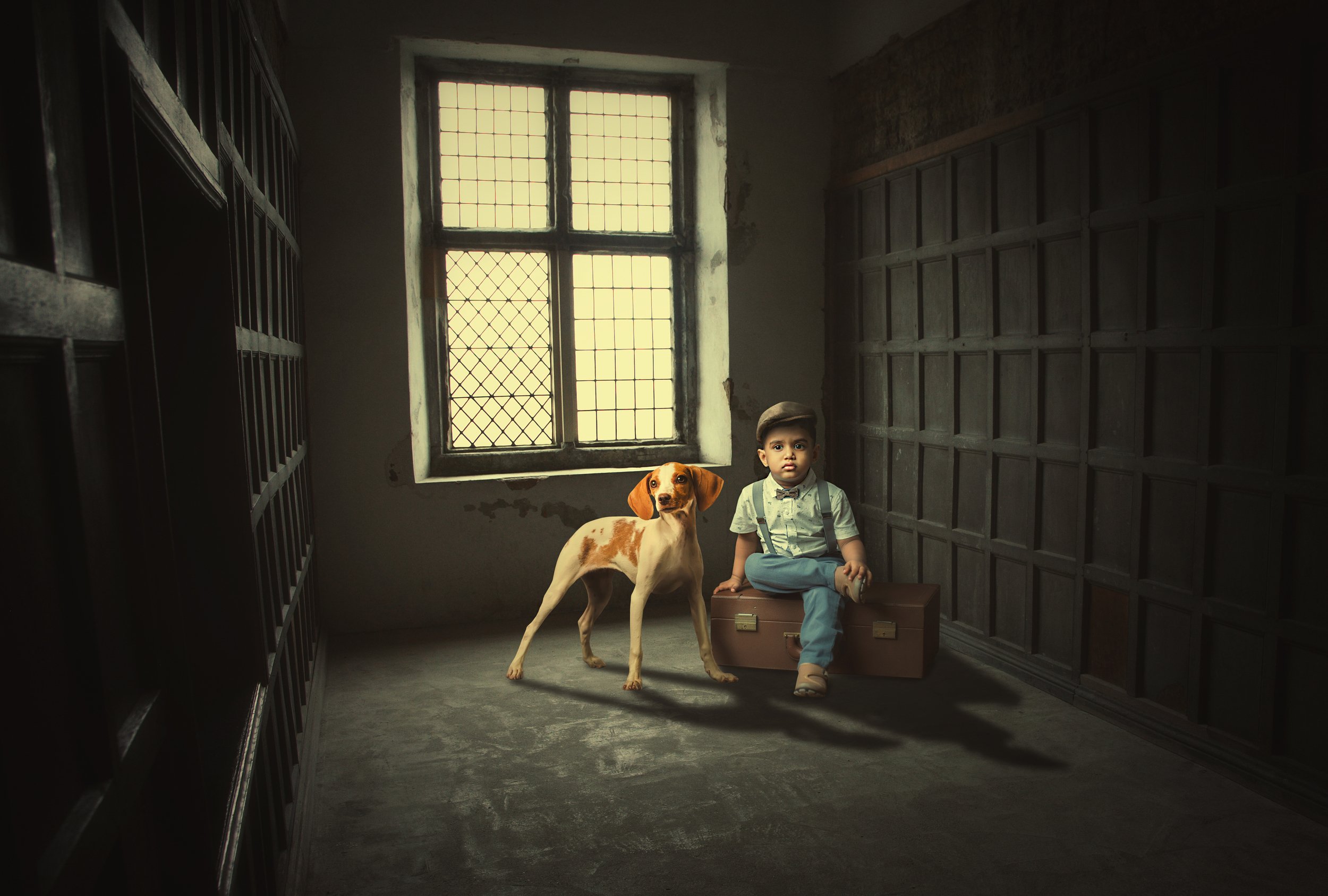 мальчик, собака, чемодан, Sergii Vidov