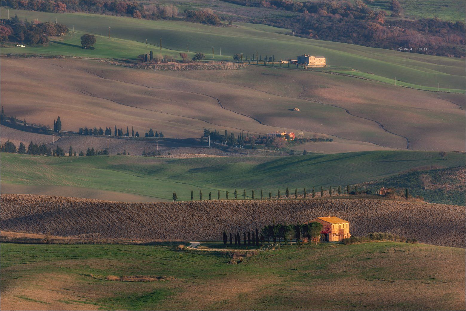 italy, san quirico d\'orcia,italia,вечер,италия,тоскана,кипарис,toscana,осень,tuscany,cipressi,belvedere, Василий Гори