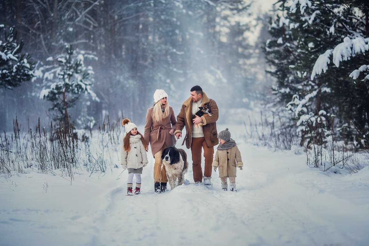 зима, снег, метель, семья, собака, Юлия Зубкова