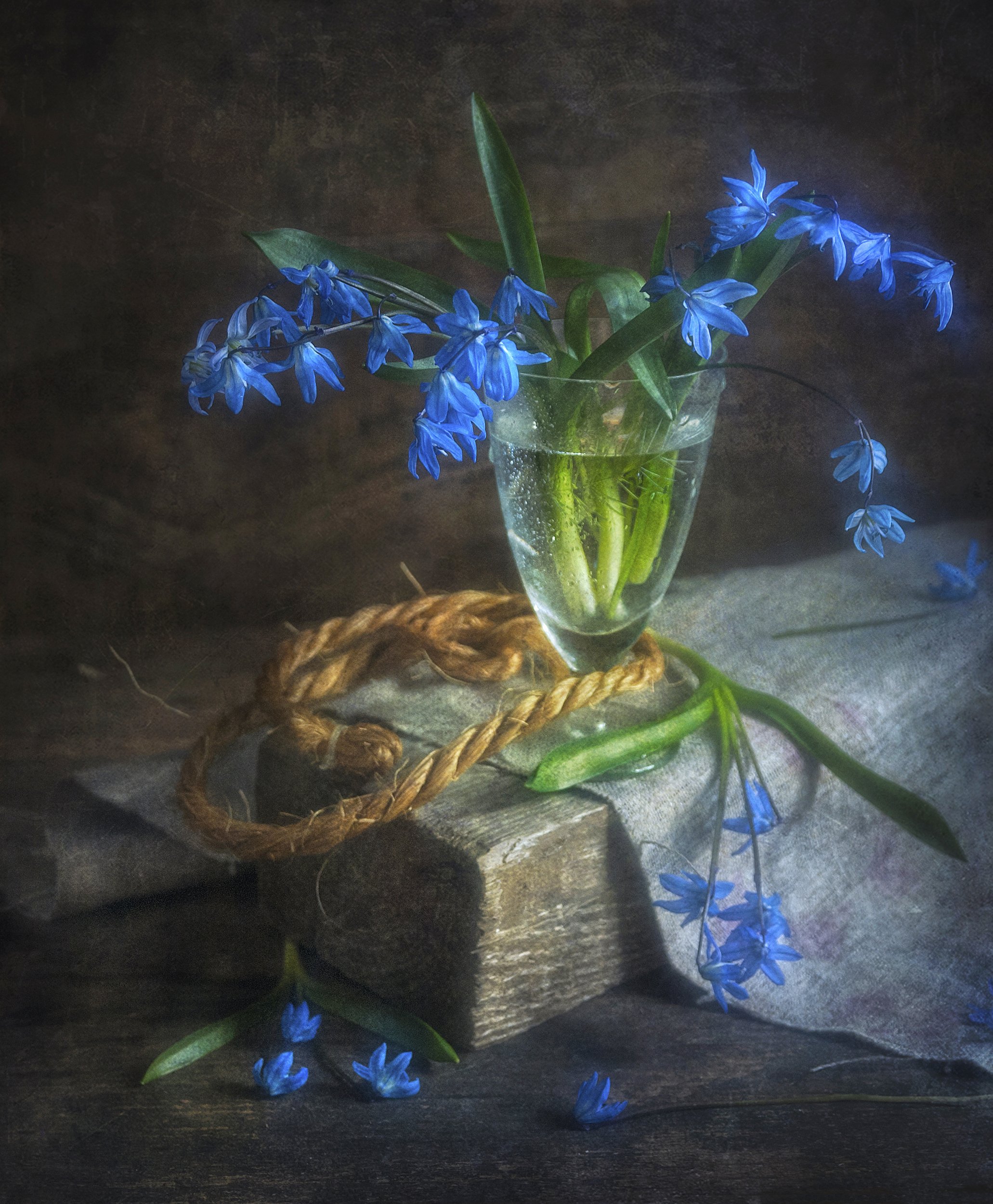 пролеска,цветок,доска,деревянный,стакан,текстура, Владимир Володин