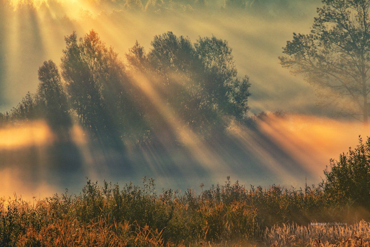 morning, foggy, sunlight, shadows, scenery, rpowroznik, Robert Powroznik